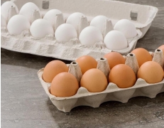 Yenibosna Toptan Yumurta